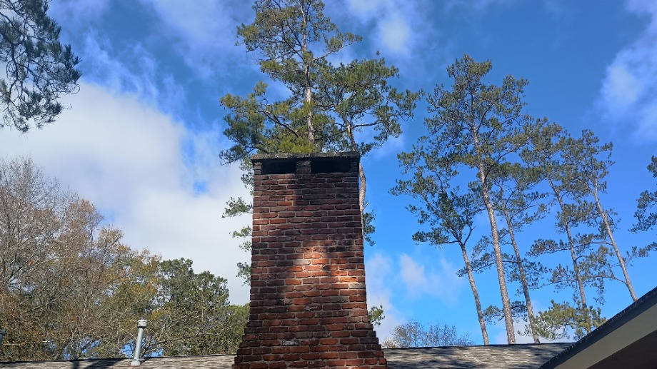 Chimney Inspection   Lamar County, Mississippi  Fireplace Sales 